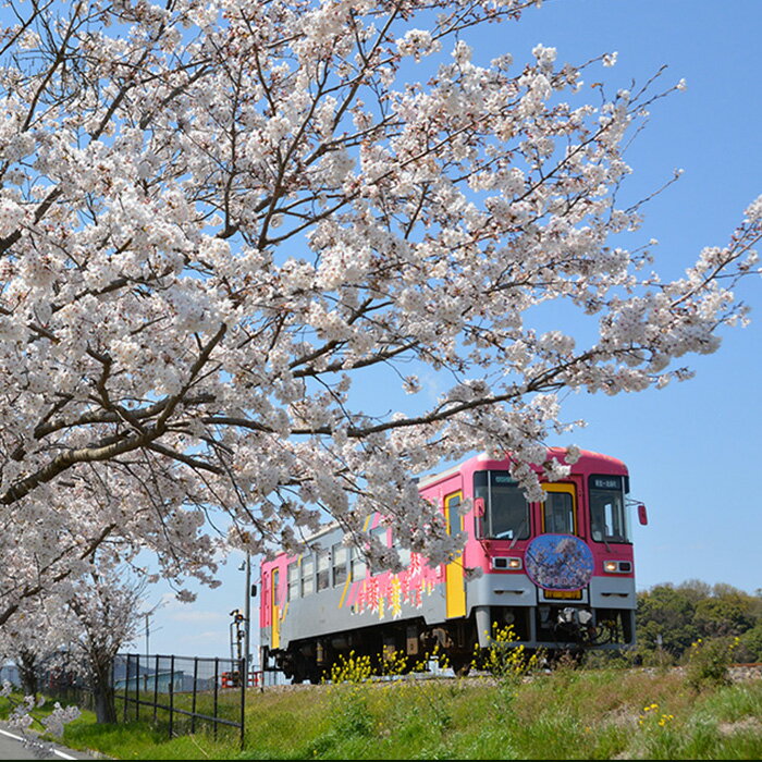 【ふるさと納税】ふるさと納税　兵庫県加西市の対象施設で使える 楽天トラベルクーポン 寄附額20，000円（6，000円クーポン）　【高級宿・宿泊券・旅行】その2