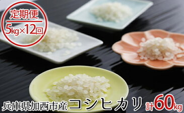 【ふるさと納税】兵庫県加西市産 特A米相当コシヒカリ 5kg×12回【定期便】 【定期便・米・お米・おこめ・こしひかり・ライス・5kg・12ヶ月連続・12回・計60kg】