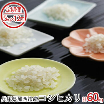 【ふるさと納税】兵庫県加西市産 特A米相当コシヒカリ 5kg×12回【定期便】 【定期便・米・お米・おこめ・こしひかり・ライス・5kg・12ヶ月連続・12回・計60kg】