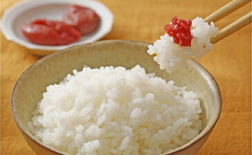 【ふるさと納税】兵庫県加西市産 特A米相当コシヒカリ 5kg×12回【定期便】 【定期便・米・お米・おこめ・こしひかり・ライス・5kg・12ヶ月連続・12回・計60kg】