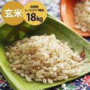 【ふるさと納税】2018年産 加西産ヒノヒカリ1等米 18k...