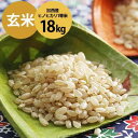 【ふるさと納税】令和元年産 加西産ヒノヒカリ1等米 18kg