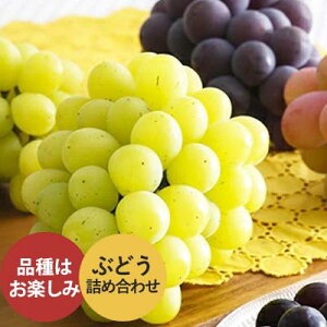 【ふるさと納税】加西産ぶどう詰め合わせ 【果物類・ぶどう・フルーツ・ブドウ・葡萄・くだもの・ぶどう詰め合わせ】 お届け:2021年8月中旬〜2021年9月中旬