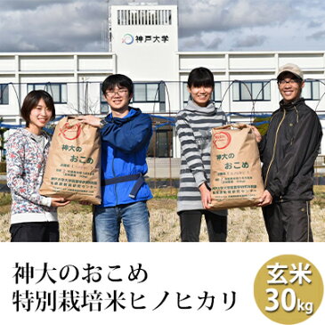 【ふるさと納税】【令和4年産】神大のおこめ（特別栽培米ヒノヒカリ）玄米30kg　【お米・ヒノヒカリ】　お届け：2022年11月1日〜2023年1月30日