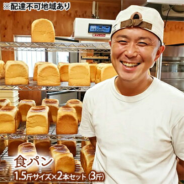 【ふるさと納税】アラジントースターと相性抜群！食パン 1.5斤サイズ×2本セット（3斤） 生食パン 常温 パン ショートニング不使用 乳化剤不使用 離乳食　【 炭水化物 主食 食品 朝食 モーニング 小麦 小麦製品 】