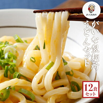 44位! 口コミ数「0件」評価「0」がいな製麺所のうどんセット　【麺類・うどん】