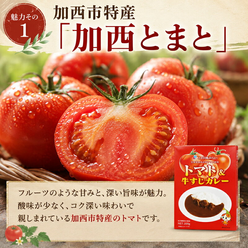 【ふるさと納税】「加西産とまと」を使ったトマト & 牛すじカレー レトルトカレー 5箱 カレー 中辛 野菜/とまと やさい セット f282201-kasai-10000435 兵庫県加西市 サンプル画像3