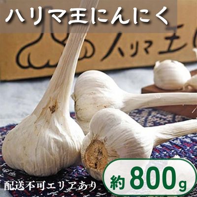 【ふるさと納税】ハリマ王 にんにく 約800g (2024年度産)　【野菜】　お届け：2024年6月初旬～10月末