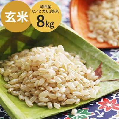 【ふるさと納税】米 令和5年産 加西産 ヒノヒカリ 1等米 8kg（玄米）　【お米・ヒノヒカリ・おこめ】...