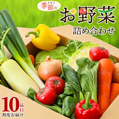 野菜セット 加西市産 季節の野菜詰め合わせセット 季節の野菜10品程度　【野菜類・セット・詰合せ・やさい】