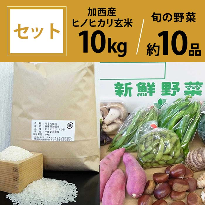 【ふるさと納税】お米と野菜セット 加西産ヒノヒカリと季節の野菜詰め合わせ ヒノヒカリ玄米5kg相当×2袋 旬の野菜10品程度【野菜類・セット・お米】　【野菜類・セット・詰合せ・やさい・お米・おこめ】 2