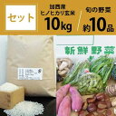 お米と野菜セット 加西産ヒノヒカリと季節の野菜詰め合わせ ヒノヒカリ玄米5kg相当×2袋 旬の野菜10品程度　