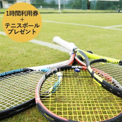 【関西唯一】天然芝テニスコート（1時間）利用券＋テニスボールプレゼント　【チケット・入場券・優待券】