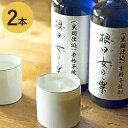 【ふるさと納税】〔黒麹仕込〕本格芋焼酎 根日女の雫 720ml×2本 お酒 酒 いも