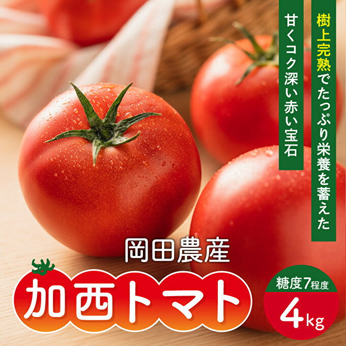 【ふるさと納税】加西とまと（2024年度産）4kg　【野菜・トマト】　お届け：2024年2月下旬～2024年7月下旬