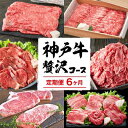 【ふるさと納税】定期便 肉 神戸牛 贅沢6種【6ヶ月連続お届