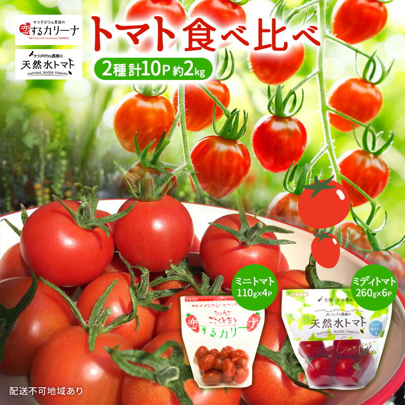 【ふるさと納税】トマト 食べ比べ 2種 天然水トマト カリーナ 計10パック ミニトマト 兵庫県産 野菜 高品質 1箱 甘い あまい 夏野菜 糖度 お取り寄せ　 加西市 　お届け：2023年12月上旬～2024年6月末のサムネイル
