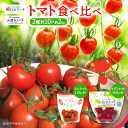 【ふるさと納税】 トマト 2種 食べ比べ （ カリーナ ・ 天然水トマト ）計10パック　【トマト・野菜・ミニトマト】　お届け：2023年12月上旬～2024年6月末