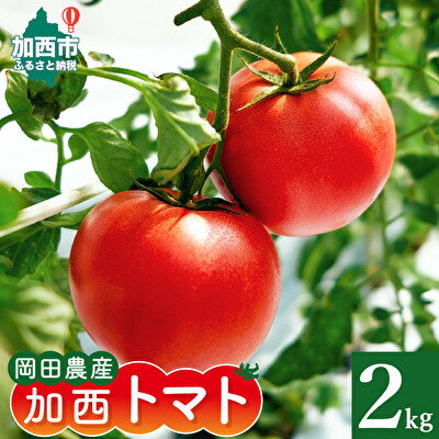 加西とまと(2024年度産)2kg [野菜・トマト・箱入り] お届け:2024年2月下旬〜2024年7月下旬