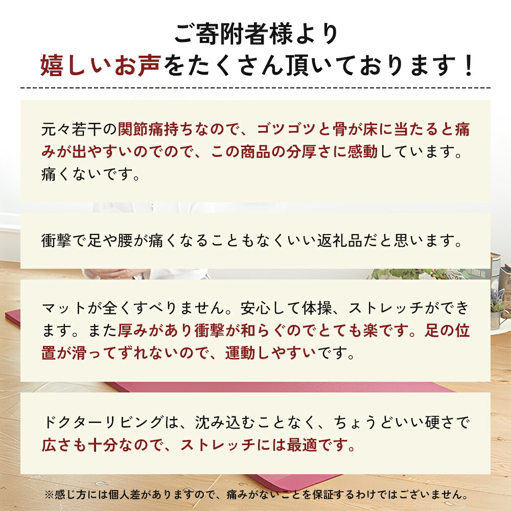 【ふるさと納税】[ ドクターリビング ] トレーニング冊子付き ヨガマット トレーニ...