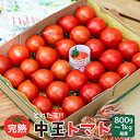 【ふるさと納税】よしよし畑のあま～い トマト ( 中玉トマト