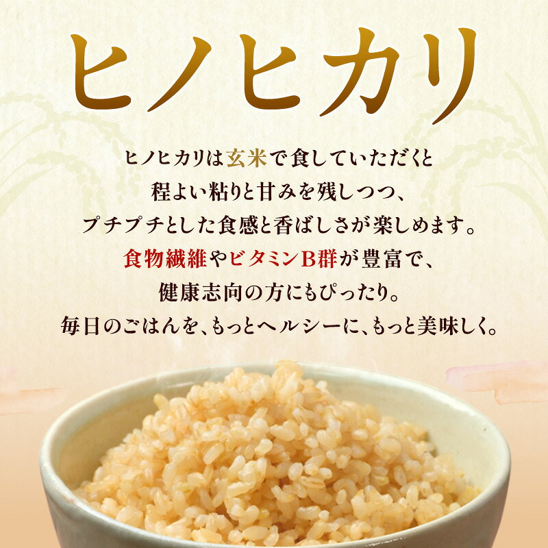 【ふるさと納税】米 令和8年産 神大のおこめ（特別栽培米ヒノヒカリ）玄米30kg お米　お届け：2026年11月中旬～2027年1月下旬 f282201-kasai-10000938 兵庫県加西市 サンプル画像2