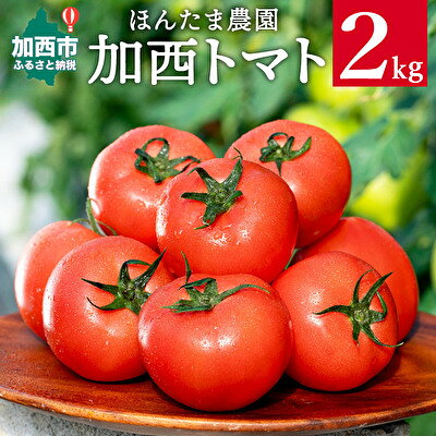 野菜 大玉トマト 2kg 箱入り とまと トマト 産地直送 産直 兵庫県加西市 ほんたま農園 お届け：2023年4月上旬～2023年6月下旬