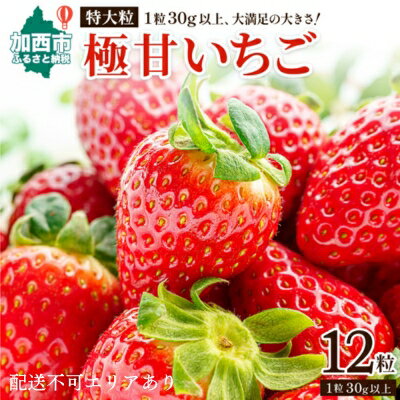 【ふるさと納税】かぐや農園の極甘 いちご 特大粒 12粒　【 果物 フルーツ 果実 高設栽培方式 紅ほっぺ かおり野 ロマンベリー お楽しみ 】　お届け：2024年1月上旬～2024年5月末