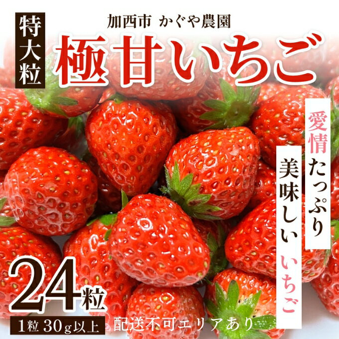 【ふるさと納税】かぐや農園の極甘 いちご 特大粒 24粒　【 果物 フルーツ 果実 高設栽培方式 紅ほっぺ かおり野 ロマンベリー お楽しみ 】　お届け：2024年1月上旬～2024年5月末