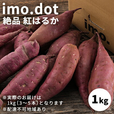 【ふるさと納税】 訳あり imo.dotの絶品 紅はるか お試し1kg[ いも 芋 さつまいも ] 母の日 おすすめ ..