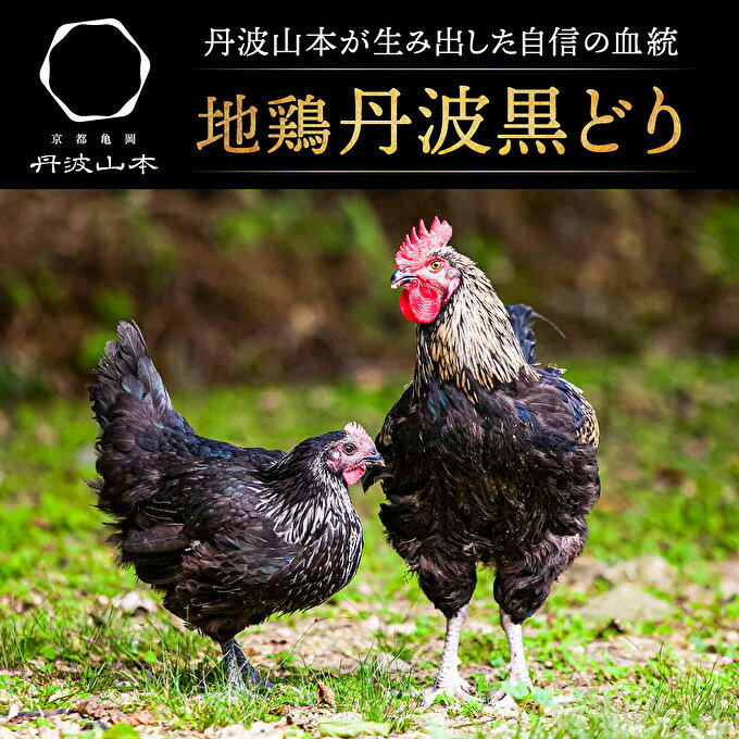 【ふるさと納税】鶏肉 地鶏 丹波 黒どり 1羽 セット 冷凍 焼き鳥 鍋 焼肉 BBQ とり肉 鶏 肉 お肉 ブランド鶏 モモ肉 ムネ肉 ササミ 肝 砂肝 手羽 ガラ 食材 国産 国産鶏肉 焼き料理 鍋もの 蒸し鶏 揚げ物 f282201-kasai-10001342 兵庫県加西市 サンプル画像3