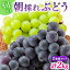 【ふるさと納税】兵庫県産 旬の朝採れ ぶどう 2種類セット 品種おまかせ（2kg、3～4房入） 種無し 農家..
