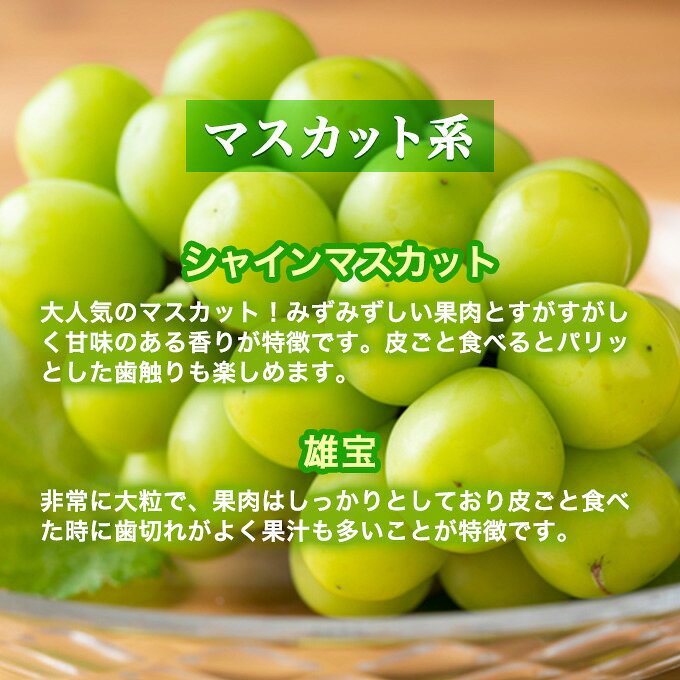 【ふるさと納税】【令和8年産】ぶどう 2種類 セット 品種おまかせ 2kg 3～4房入 食...