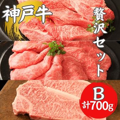 神戸牛 贅沢セットB 計700g ローススライス モモスライス サーロインステーキ ステーキ肉 すき焼き 肉 すきやき しゃぶしゃぶ 肉 牛肉 赤身 和牛 お肉 霜降り 黒毛和牛 冷凍 ギフト [ 神戸ビーフ ]