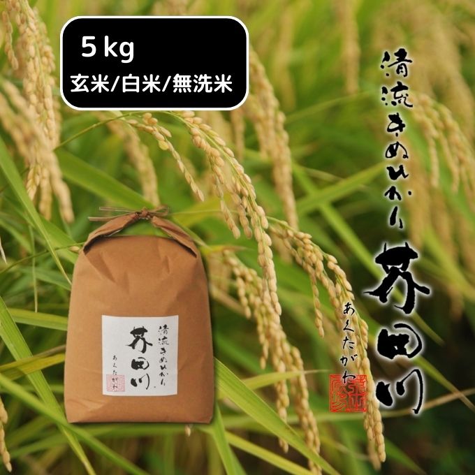 【ふるさと納税】米 【令和6年産】 キヌヒカリ 5kg 精米