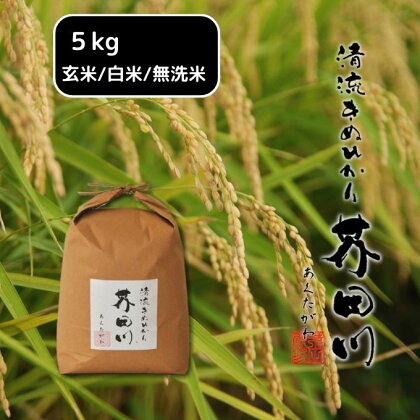 米 【令和5年産新米】 キヌヒカリ 5kg 精米 奥播州源流 芥田川産 芥田川 農家直送 5キロ 国産米 きぬひかり 贈り物 喜ばれる お米ギフト おいしいお米 お祝い 内祝い 贈答 美味しい おいしい　【 ブランド米 ごはん お弁当 おにぎり 産地直送 和食 主食 】