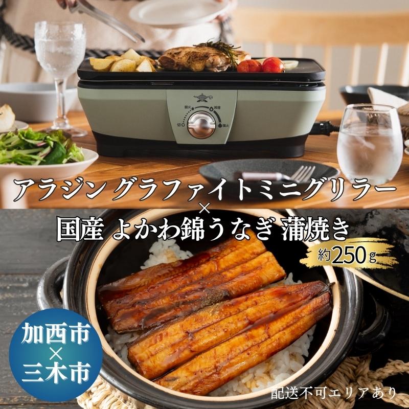 10位! 口コミ数「0件」評価「0」【加西市×三木市】 アラジン グラファイトミニグリラー グリーン × 国産 よかわ錦うなぎ 蒲焼き 約250g[ Aladdin CAG-M･･･ 