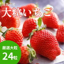 【ふるさと納税】【厳選大粒いちご】 24粒 加西市産 あきひめ やよい姫 あまクイーン 紅クイーン　 ...