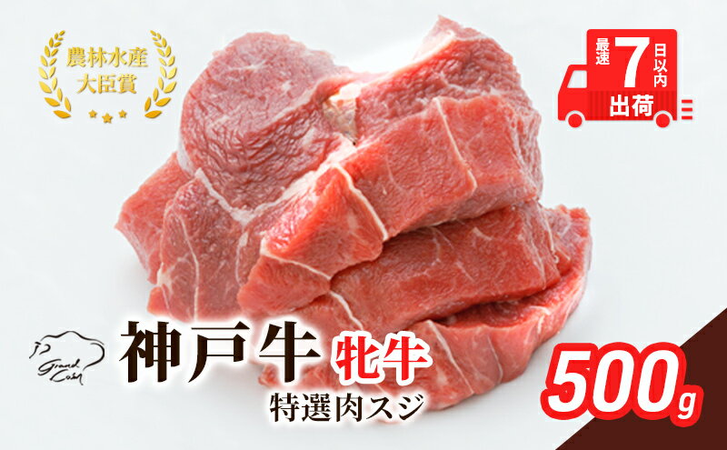 【ふるさと納税】 神戸ビーフ 神戸牛 牝 特選肉スジ（角切りカレー煮込み用） 500g 川岸畜産 煮込み おでん カレー 冷凍 肉 牛肉 すぐ届く 小分け　【 お肉 牛肉 和牛 食材 グルメ ブランド牛 日本産 国産 夕飯 晩御飯 夜ごはん 】