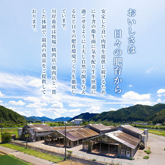 【ふるさと納税】【最短7日以内発送】 神戸ビーフ 神戸牛 牝 特選肉スジ（角切りカレー煮込み用） 500g 川岸畜産 煮込み おでん カレー 冷凍 肉 牛肉 すぐ届く お肉 和牛 食材 グルメ ブランド牛 日本産 国産 夕飯 晩御飯 夜ごはん