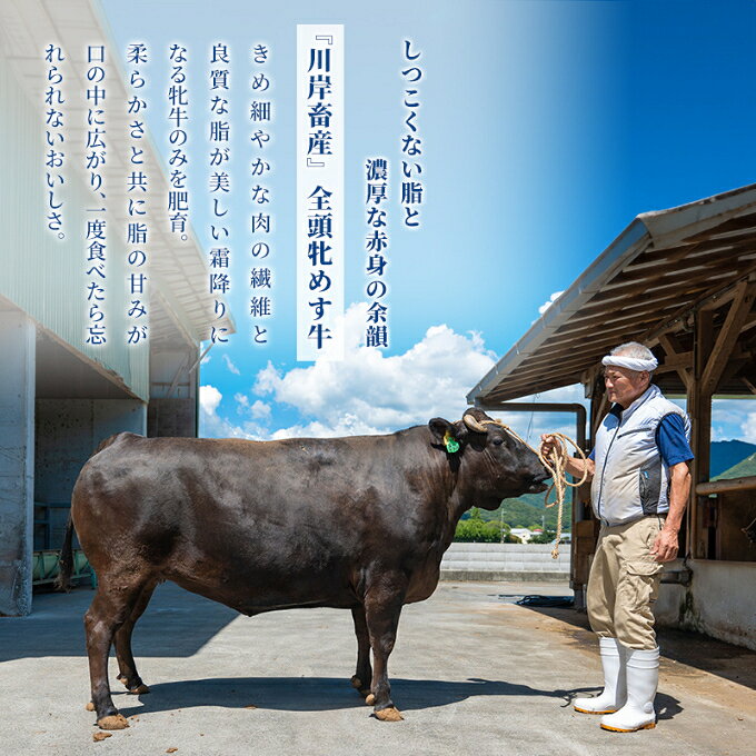 サンプル画像3