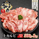 【ふるさと納税】【最短7日以内発送】 神戸ビーフ 神戸牛 牝 上カルビ 焼肉 選べる!内容量 300〜1000g 川岸畜産 冷凍 肉 牛肉 すぐ届く株式会社 川...