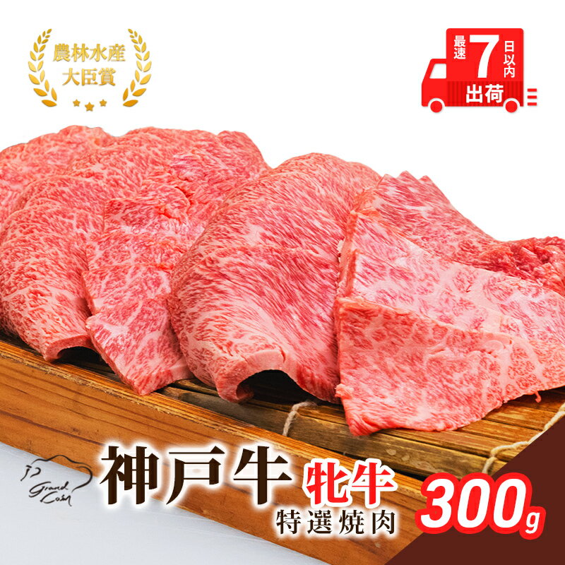 神戸ビーフ 神戸牛 牝 特選焼肉 300g 川岸畜産 冷凍 肉 牛肉 すぐ届く 小分け [ お肉 牛肉 和牛 食材 グルメ ブランド牛 日本産 国産 夕飯 晩御飯 夜ごはん ]