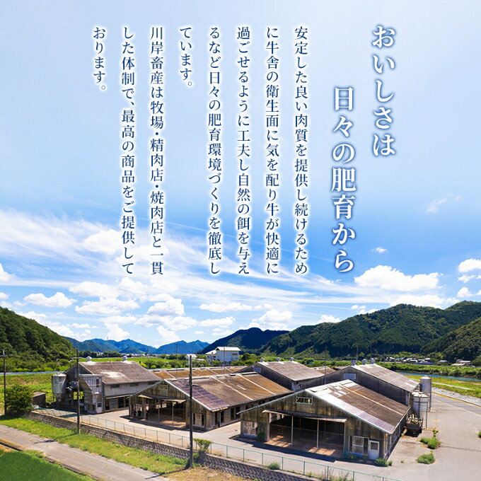 【ふるさと納税】牛肉 冷凍 神戸ビーフ 【最短7日以内発送】 500g 神戸牛 牝 特選焼肉 肉 すぐ届く お肉 和牛 食材 ブランド牛 日本産 国産 晩御飯 夜ごはん 但馬牛 兵庫県地域資源認定品 川岸畜産 兵庫県加西市 グルメ f282201-kasai-10001543 兵庫県加西市 サンプル画像2
