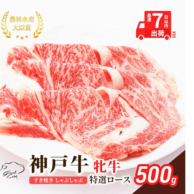 神戸ビーフ 神戸牛 牝 特選ロース 500g 川岸畜産 すき焼き しゃぶしゃぶ 焼肉 冷凍 肉 牛肉 すぐ届く [ お肉 牛肉 和牛 食材 グルメ ブランド牛 日本産 国産 夕飯 晩御飯 夜ごはん ]