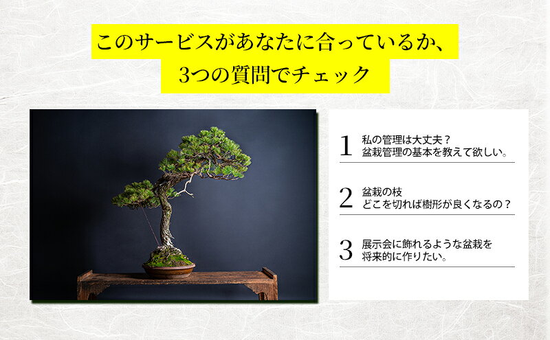 【ふるさと納税】盆栽 翠松園 リザーブサービス 【あなたの盆栽に合わせた日々の管理をアドバイス】 チケット 体験チケット f282201-kasai-10001721 兵庫県加西市 サンプル画像3