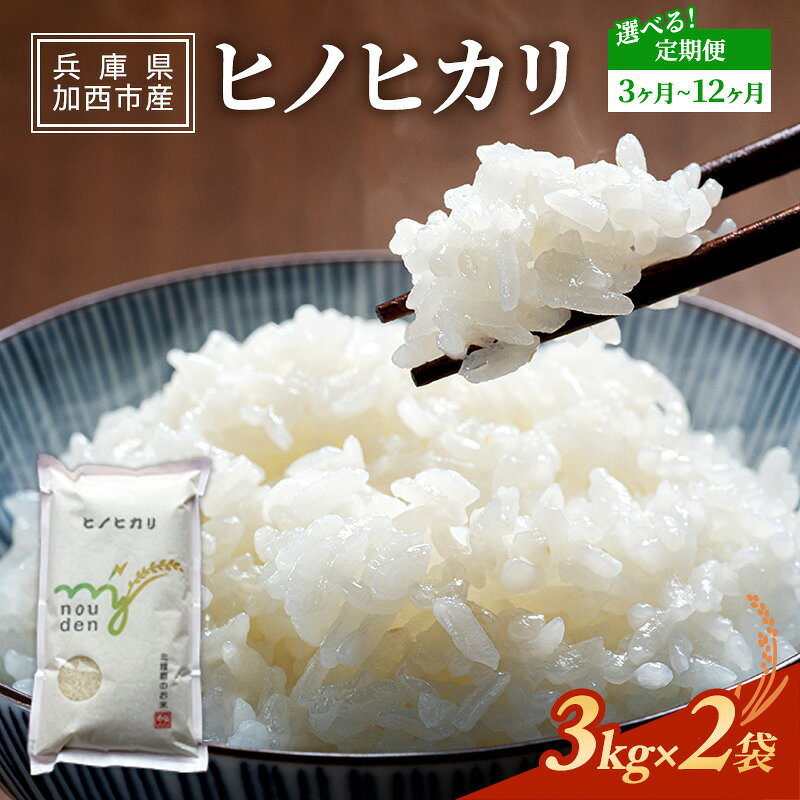【令和6年産新米予約受付】 米 定期便 選べる 3～12ヶ月 ヒノヒカリ 6kg 3kg×2袋 新米 精米 白米 お米 こめ コメ ごはん ご飯 ひのひかり 先行予約 単一原料米 お楽しみ 兵庫県加西市 お届け：2024年11月中旬頃から順次お届け