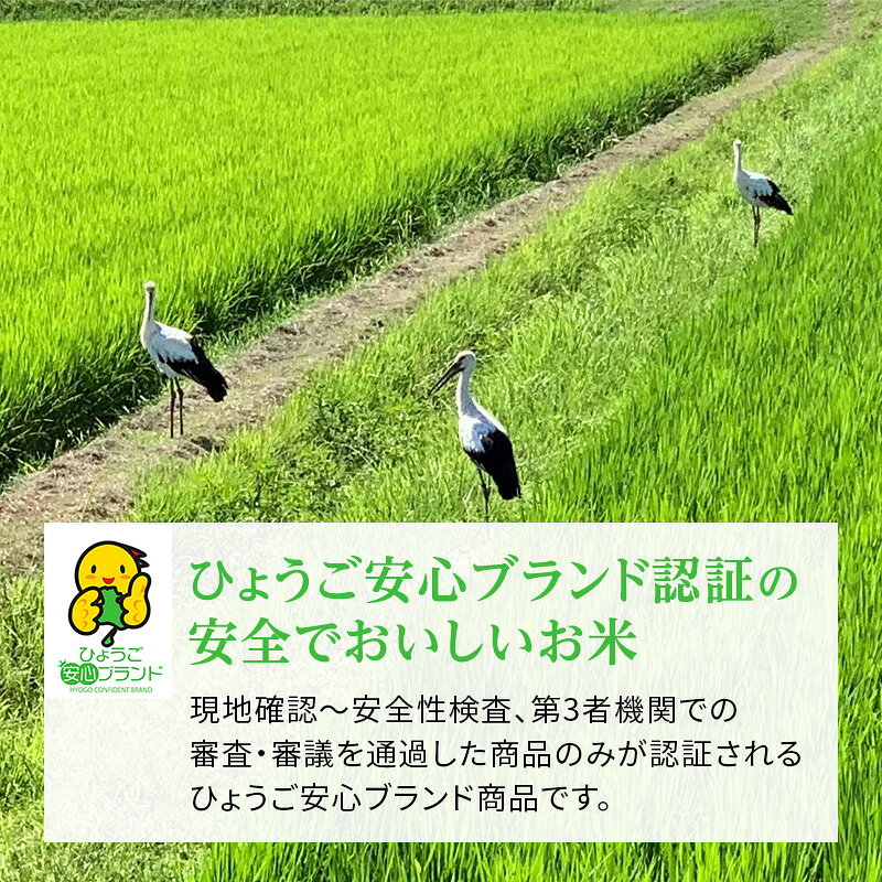 【ふるさと納税】お米 令和7年産 きぬむすめ 白米 2kg～30kg(3kg×1袋～10袋) 米 単一原料米 おいしい 事業者支援 精米 国産 ごはん ご飯 白飯 小分け 百合農園 f282201-kasai-10001699 兵庫県加西市 サンプル画像3