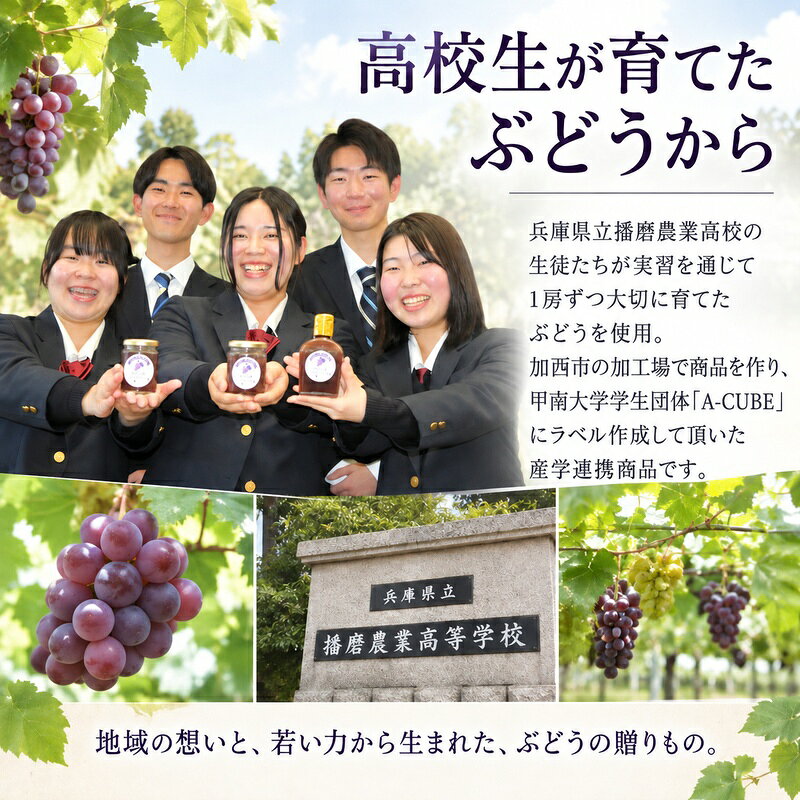 【ふるさと納税】ぶどう 播磨農業高校産ぶどう 使用 加工品 3種 ジャム コンポート フルーツソース 各1本 セット 兵庫県加西市 グルメ 加工品セット 朝食 ヨーグルト スイーツ フルーツジュース トッピング f282201-kasai-10002219 兵庫県加西市 サンプル画像2