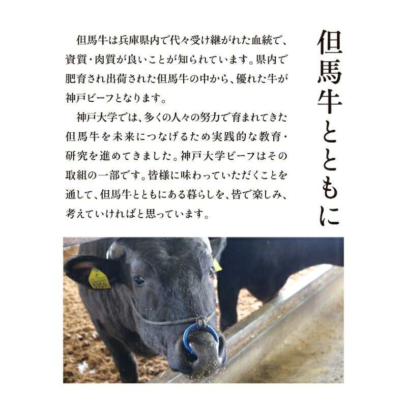 【ふるさと納税】神戸牛 神戸大学ビーフ 切り落とし お試し 300g かた モモ 神戸ビーフ 牛肉 お肉 肉 赤身 アウトドア キャンプ BBQ ブランド牛 但馬牛 f282201-kasai-10002253 兵庫県加西市 サンプル画像3